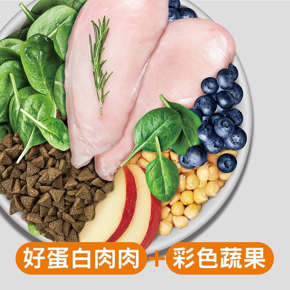 [短效出清] 耐吉斯 Solution 貓用 E9 無穀低碳火雞餐 成幼貓化毛 貓飼料 4.5磅 10磅 22磅 貓糧-細節圖3