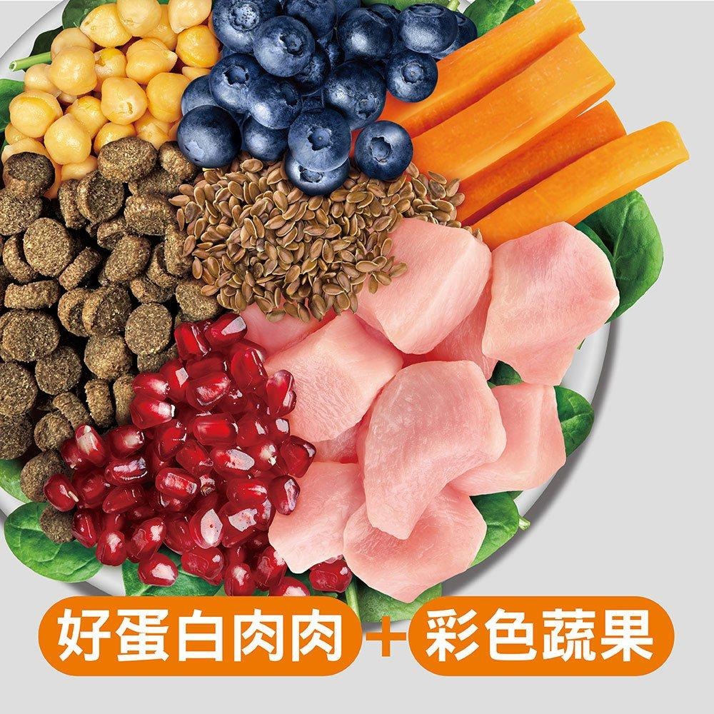 耐吉斯 Solution 貓用 E11 無穀優腎火雞餐 熟齡貓 低磷 貓飼料 4.5磅 10磅 貓糧-細節圖3