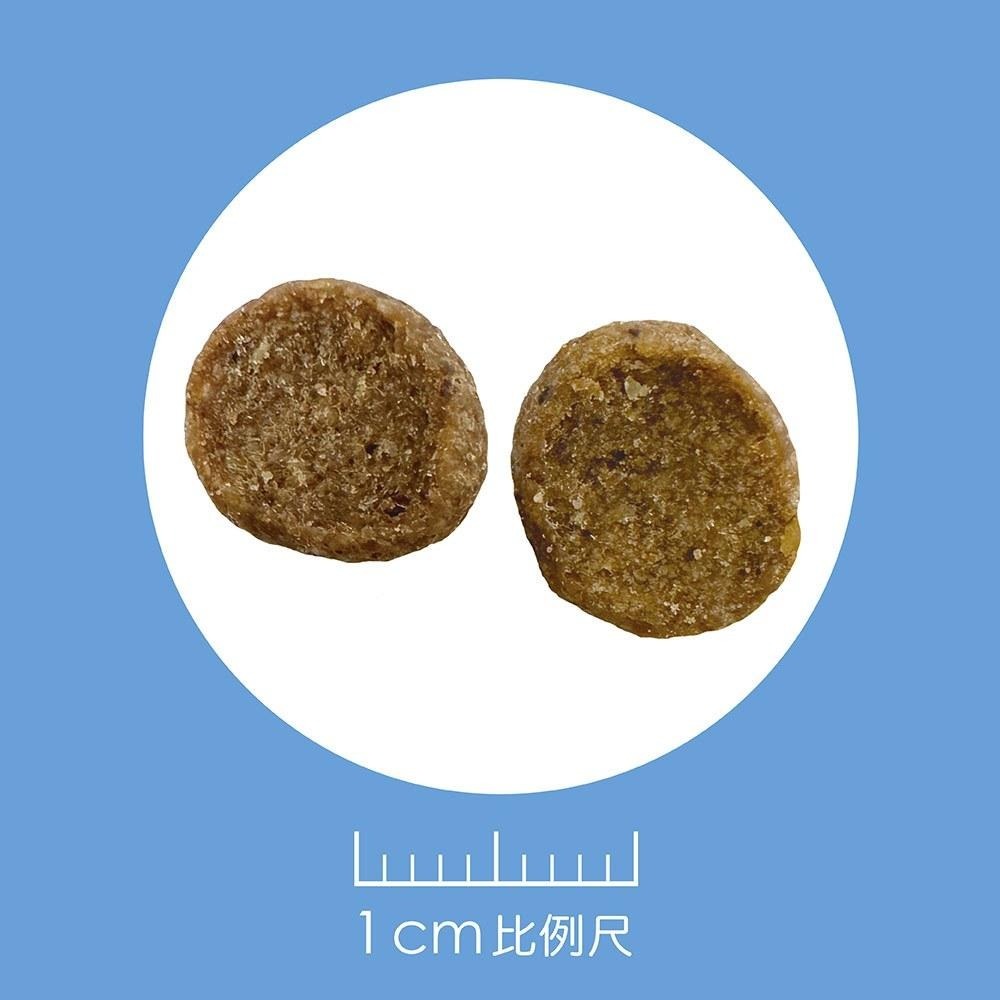 耐吉斯 Solution 貓用 E11 無穀優腎火雞餐 熟齡貓 低磷 貓飼料 4.5磅 10磅 貓糧-細節圖2