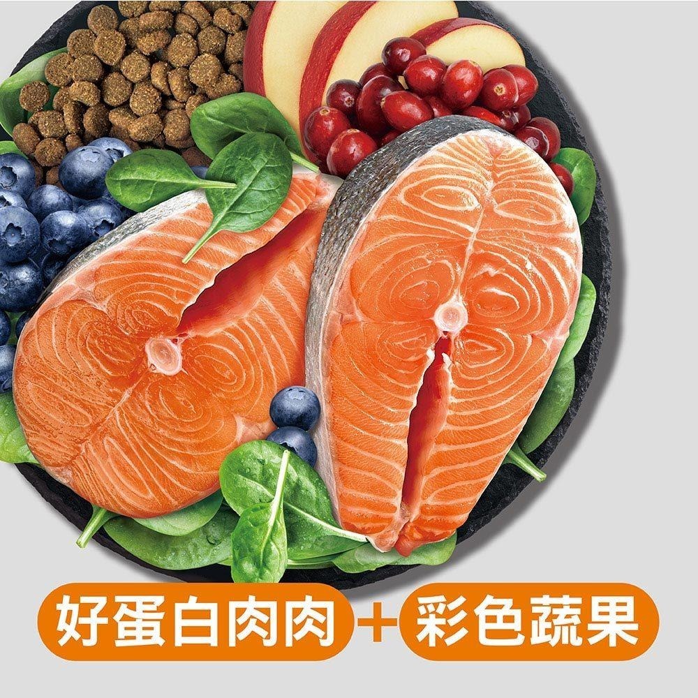 耐吉斯 Solution 貓用 E12 無穀能量鮭魚餐 全齡貓 貓飼料 4.5磅 10磅 貓糧-細節圖3