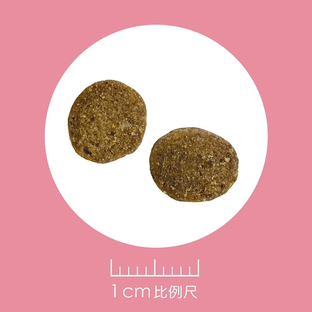 耐吉斯 Solution 貓用 E13 無穀能量海陸餐 全齡貓 貓飼料 4.5磅 10磅 貓糧-細節圖2