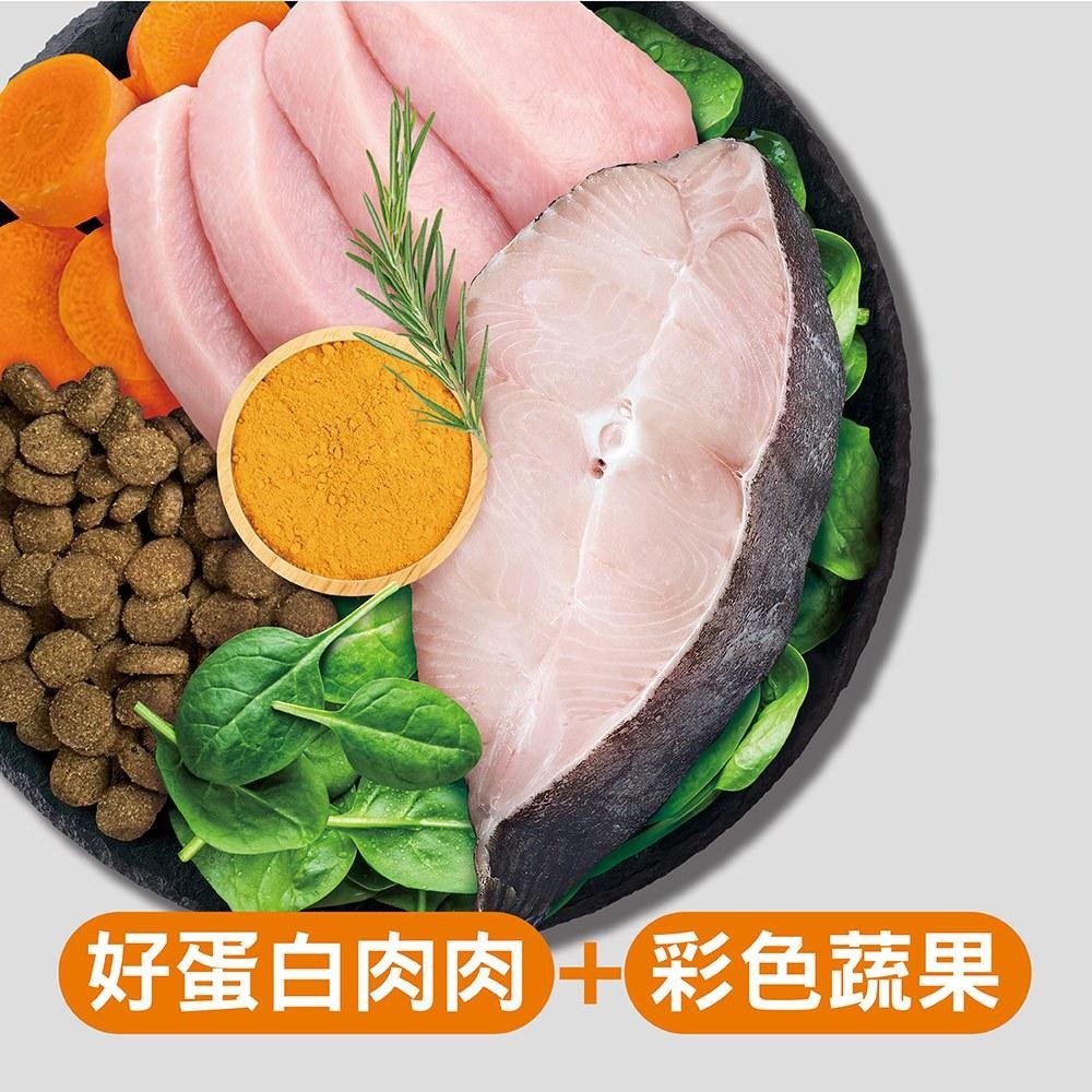 耐吉斯 Solution 貓用 E13 無穀能量海陸餐 全齡貓 貓飼料 4.5磅 10磅 貓糧-細節圖3