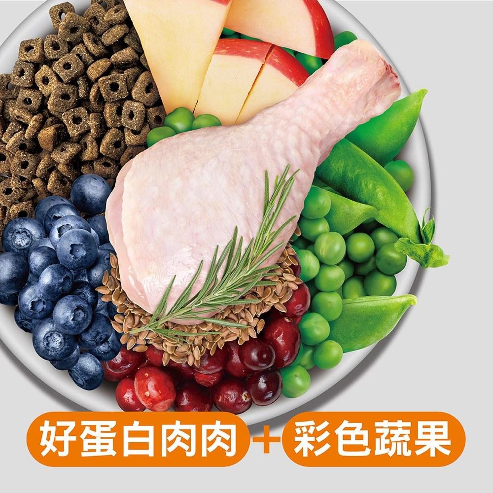 耐吉斯 Solution 貓用 E10 無穀窈窕火雞餐 室內貓 低卡 貓飼料 4.5磅 10磅 貓糧-細節圖3