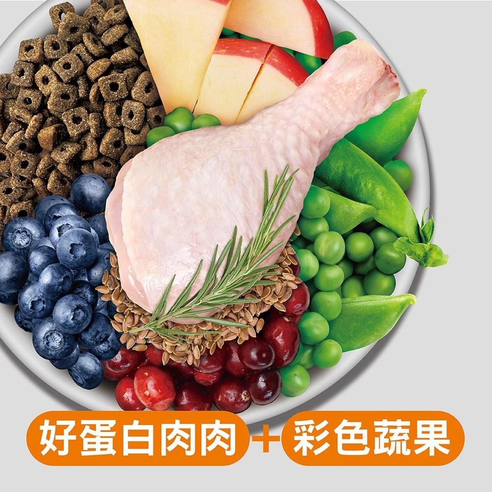 耐吉斯 Solution 貓用 E10 無穀窈窕火雞餐 室內貓 低卡 貓飼料 4.5磅 10磅 貓糧-細節圖3