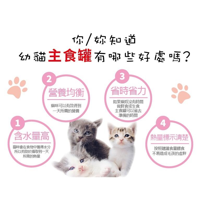 WERUVA 唯美味 幼貓肉泥主食罐 85g 貓罐頭 幼貓 主食罐-細節圖2
