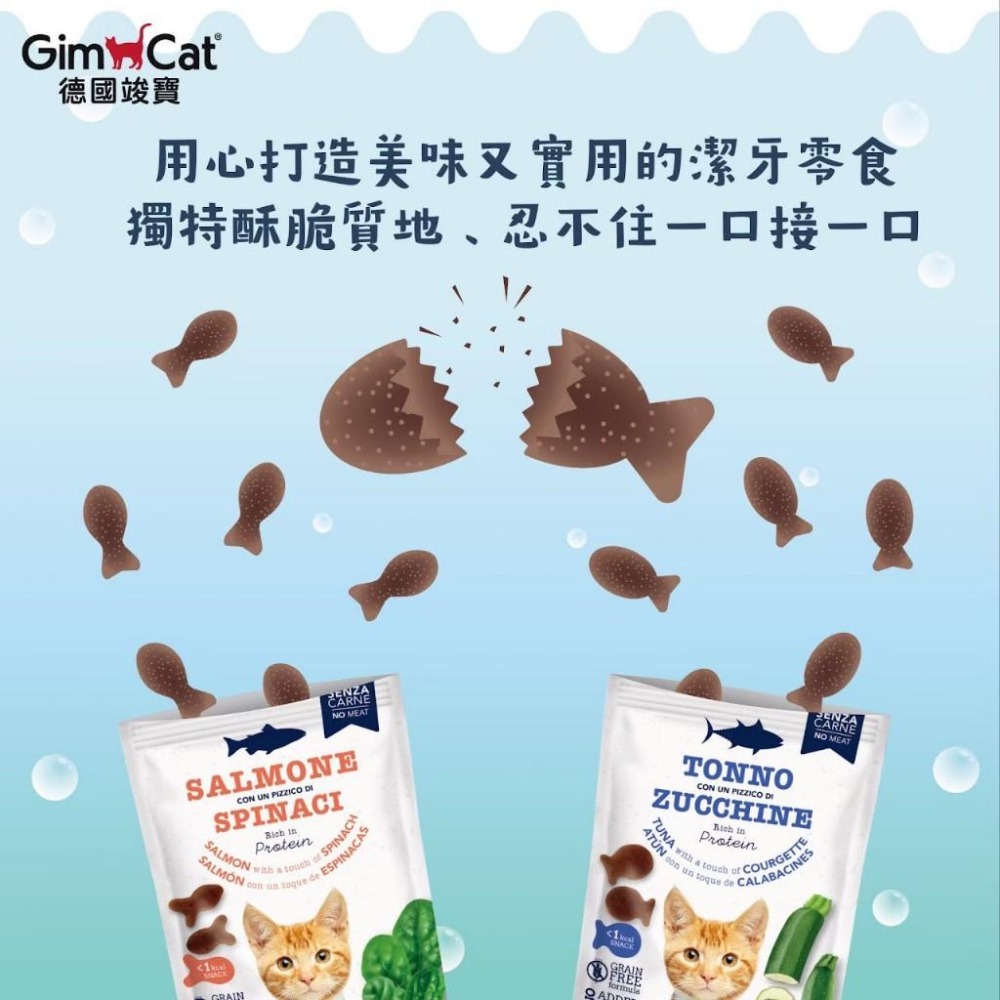 GIMCAT 德國竣寶 貓咪潔牙餅系列 50g 貓零食 鮭魚菠菜 鮪魚櫛瓜 貓獎勵 無穀-細節圖4