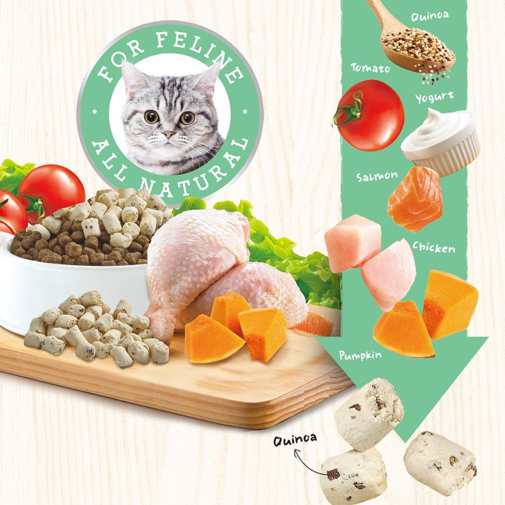 TOMA-PRO 優格 鮮肉佐餐凍乾 雞肉配方 60g 貓零食 貓凍乾-細節圖3