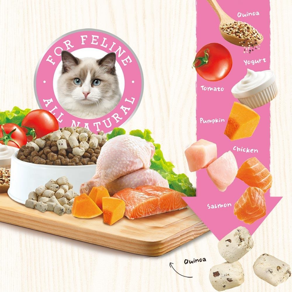 優格 TOMA-PRO 鮮肉佐餐凍乾 雞肉+鮭魚配方 60g  貓零食-細節圖3