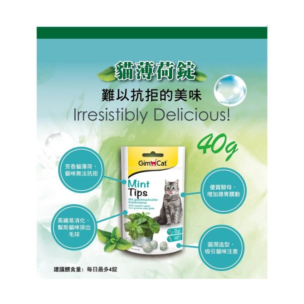 Gimcat 竣寶 貓零食 ~ 貓薄荷錠40g-細節圖3