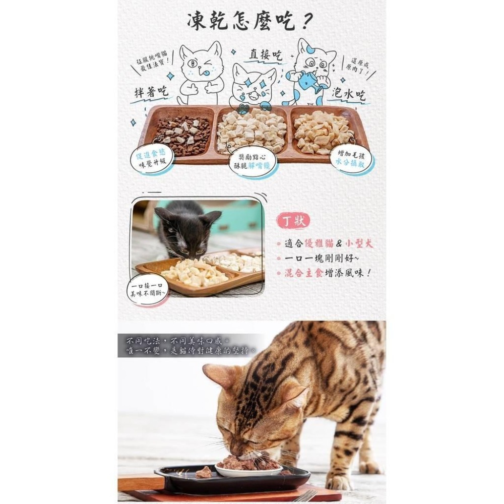 貓侍 CAT-POOL 冷凍乾燥零食 凍乾 貓零食 貓凍乾 零食 天然凍乾-細節圖7