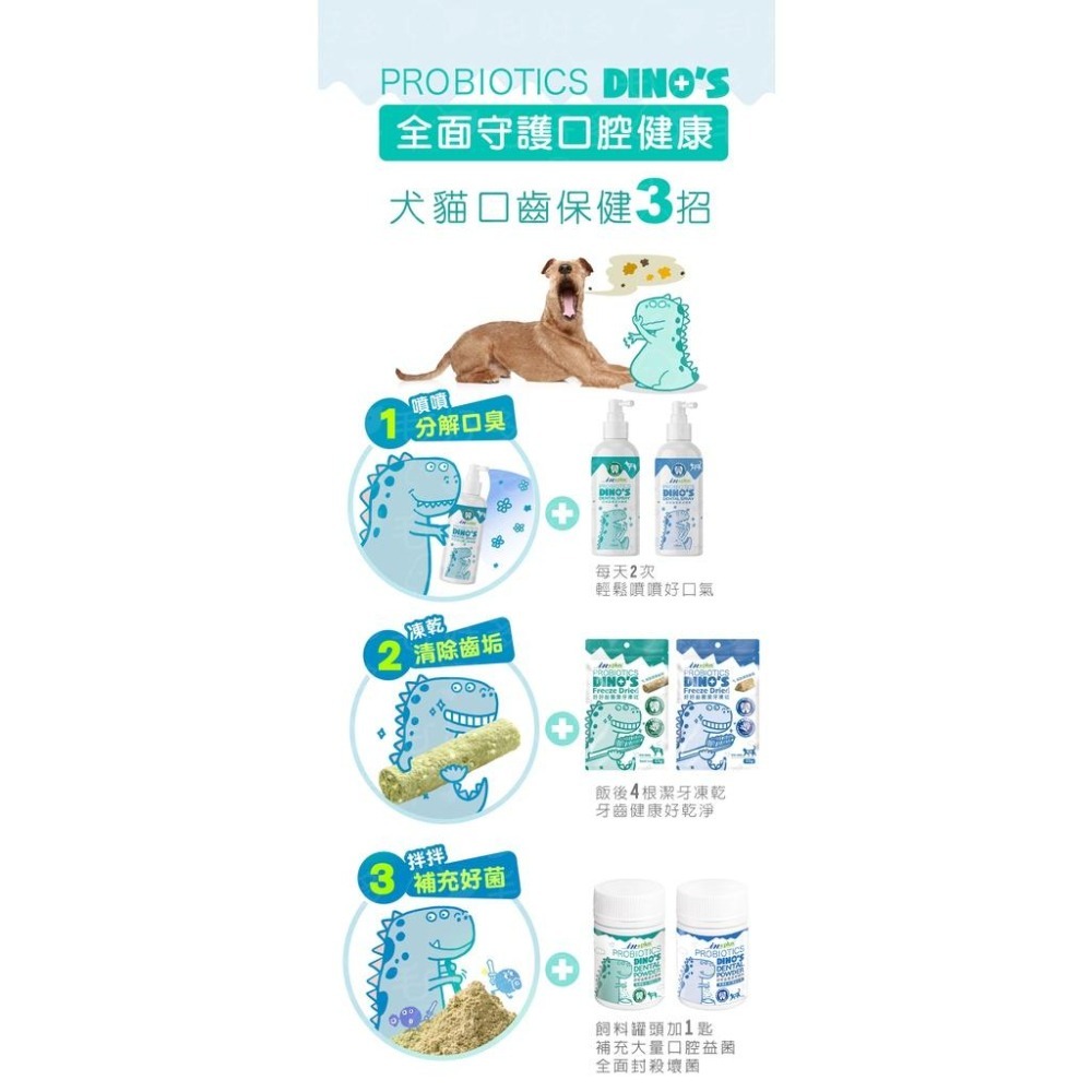 IN-Plus 口腔保健 好好益菌潔牙凍乾 貓咪凍乾 狗狗凍乾 潔牙零食 犬貓用 貓零食 狗零食-細節圖5