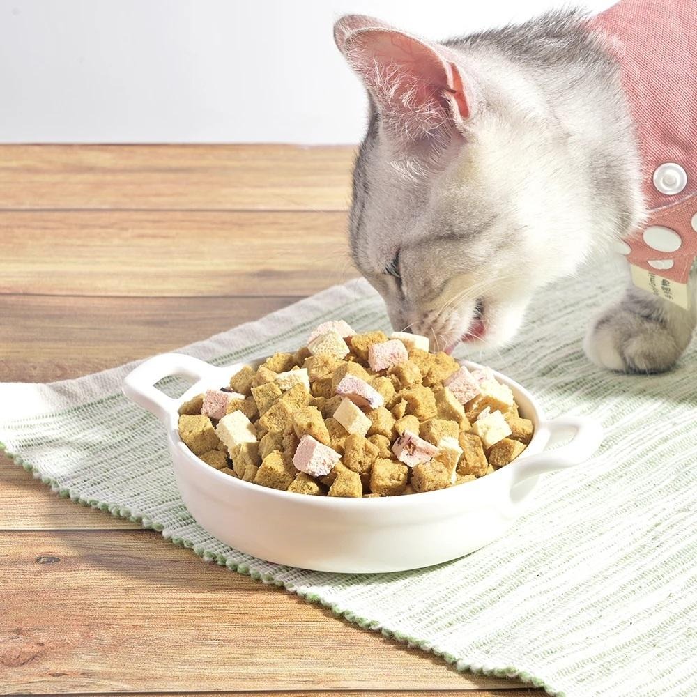 汪喵 機能優格丁 汪喵星球×馬修嚴選 機能優格丁 貓優格凍乾 狗優格凍乾 犬貓適用-細節圖5