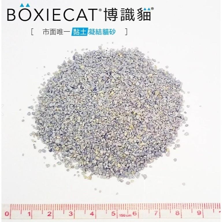 BOXIECAT 博識貓 美國黏土凝結貓砂 16lbs 貓砂 礦砂 (99.9% 市面上唯一無粉塵)-細節圖4