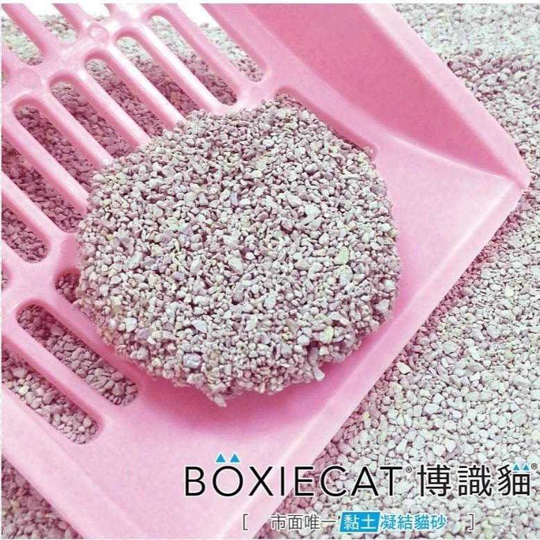 BOXIECAT 博識貓 美國黏土凝結貓砂 16lbs 貓砂 礦砂 (99.9% 市面上唯一無粉塵)-細節圖9