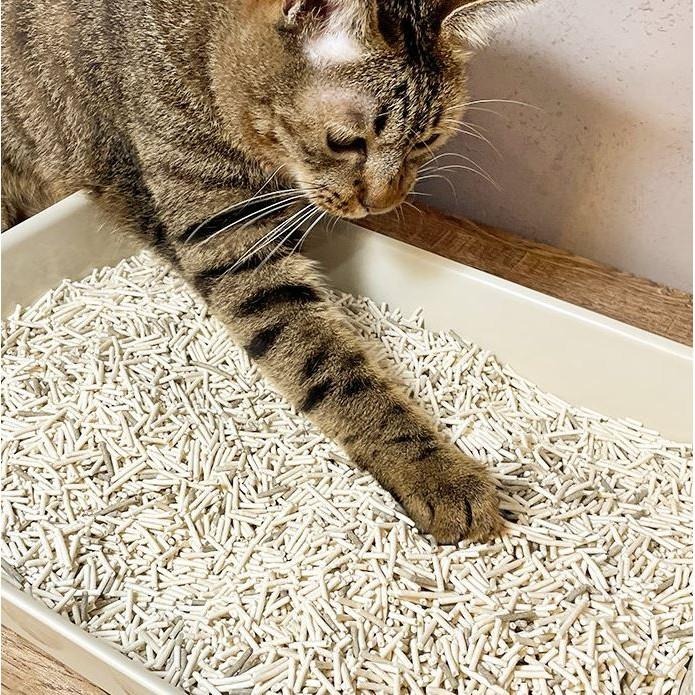 DogCatStar 汪喵 益生菌消臭豆腐砂（條型）7L 貓砂-細節圖2