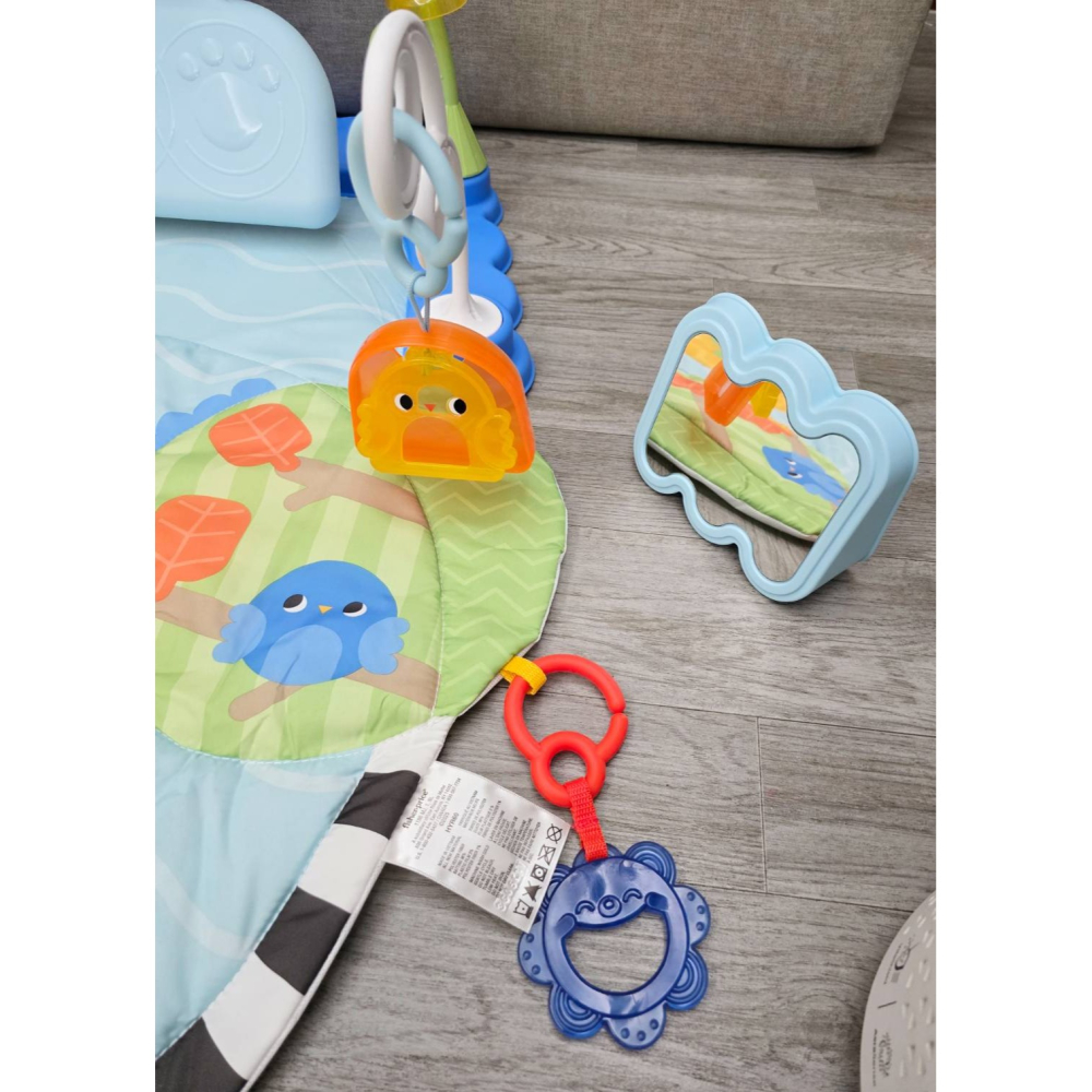 🎀MT玩具出租🎀 美國 Fisher-Price 費雪三合一健身器 健力架 台中玩具出租-細節圖5