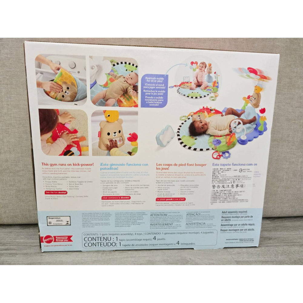 🎀MT玩具出租🎀 美國 Fisher-Price 費雪三合一健身器 健力架 台中玩具出租-細節圖8