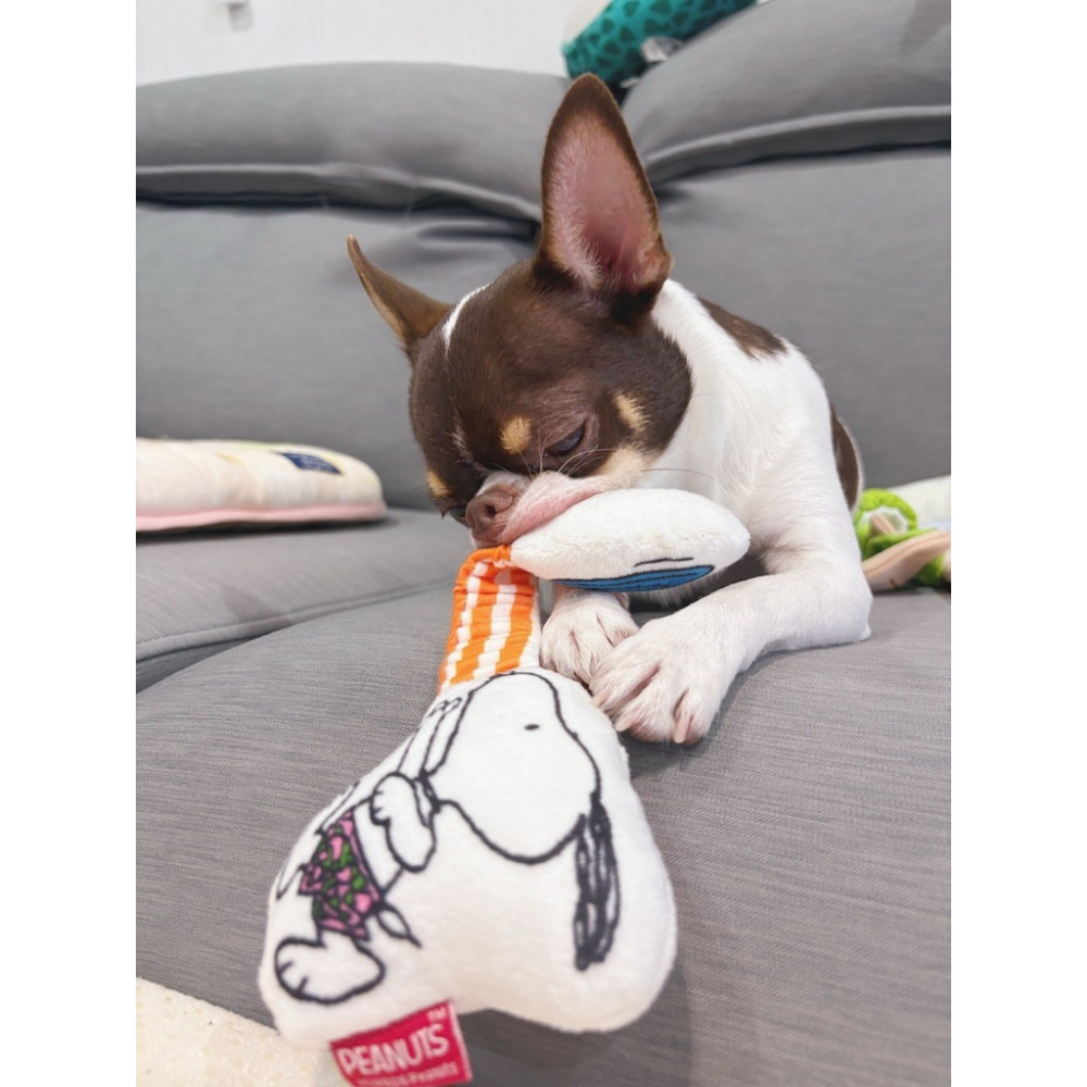 Paris Dog Snoopy玩飛盤造型玩具-細節圖2