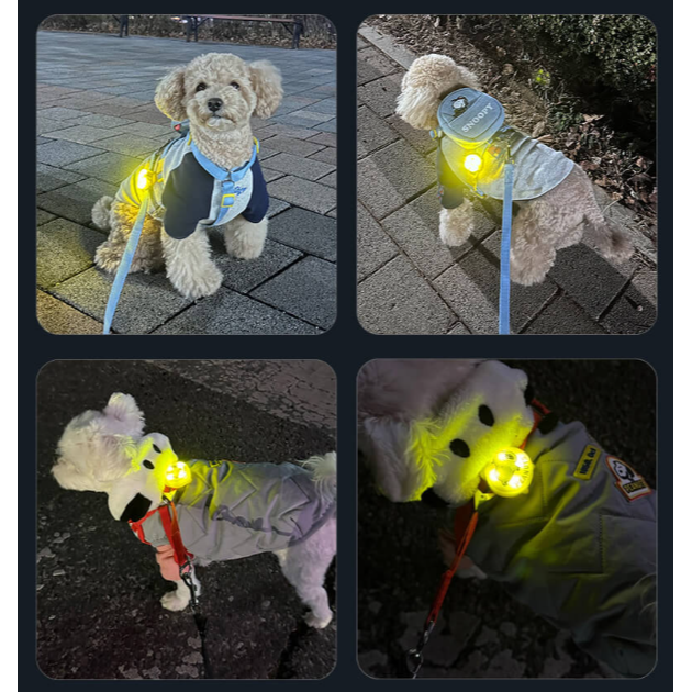 史努比Snoopy 充電式LED寵物夜間散步燈-細節圖5