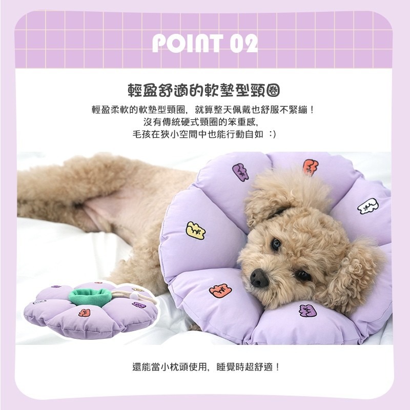 Paris Dog可愛小熊軟糖伊莉莎白頸圈-細節圖2