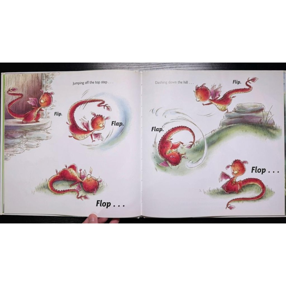 全新 Little Wing Learns to Fly 精裝｜英文繪本｜努力 失敗 付出 放棄 挫折感 親子共讀-細節圖3