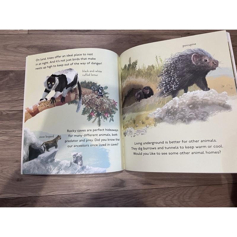 全新 Amazing Animal Homes 平裝 英文繪本 科普書 動物的家 童書-細節圖3