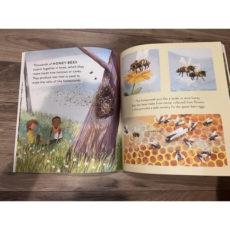 全新 Amazing Animal Homes 平裝 英文繪本 科普書 動物的家 童書-細節圖4