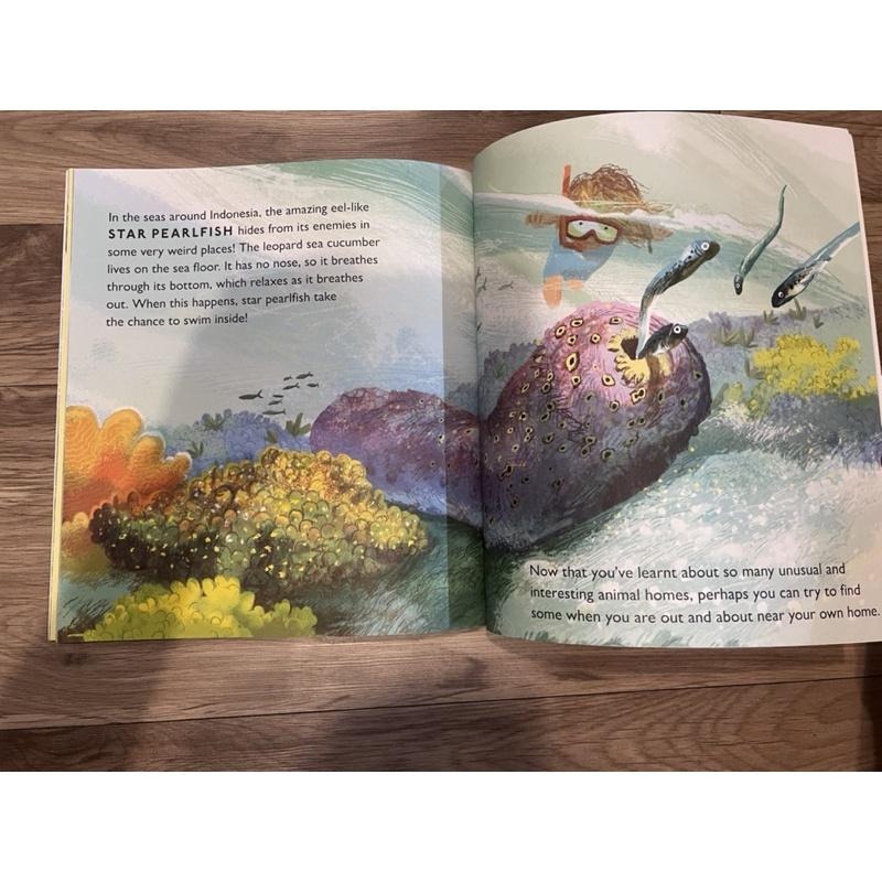 全新 Amazing Animal Homes 平裝 英文繪本 科普書 動物的家 童書-細節圖8