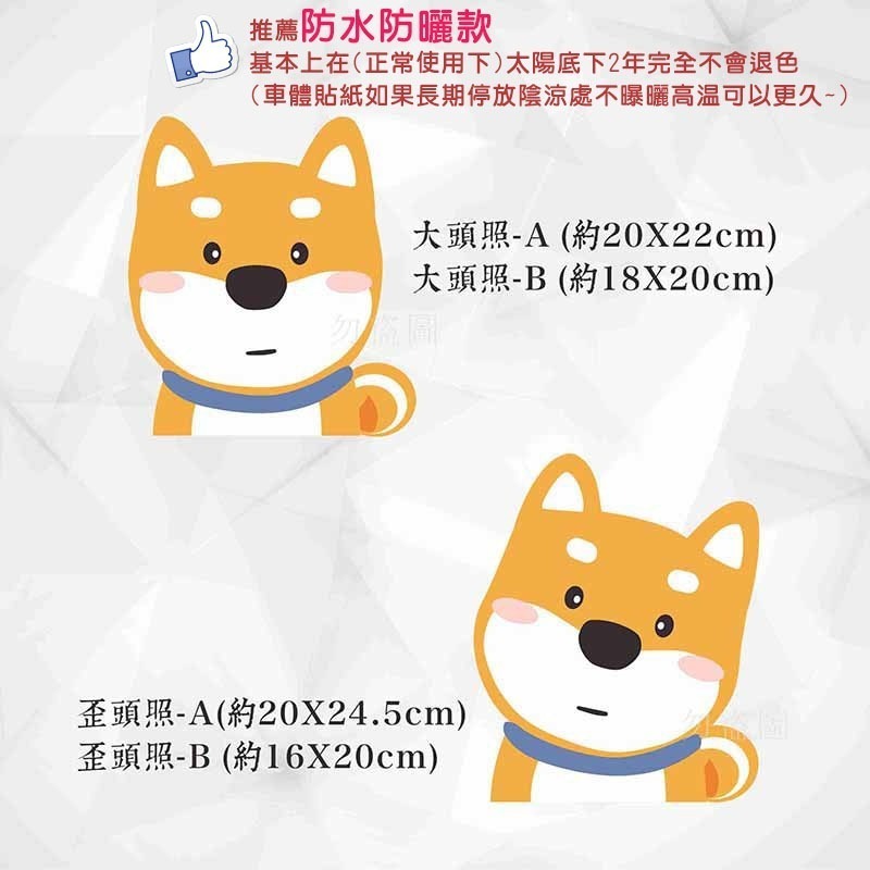 野財財⭐ 柴犬貼紙 防水防曬撕不破貼紙｜比耐曬材質更好｜機車貼 汽車貼 GOGORO 前側板 行李箱 安全帽 可愛柴犬貼-細節圖2
