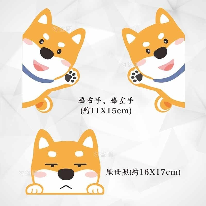 野財財⭐ 柴犬貼紙 防水防曬撕不破貼紙｜比耐曬材質更好｜機車貼 汽車貼 GOGORO 前側板 行李箱 安全帽 可愛柴犬貼-細節圖3