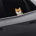 柴犬貼紙 車貼｜二年以上防曬不退色、防水防曬貼紙-規格圖11