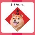 野財財⭐ 呆萌可愛寵物貼紙｜不是一般貼紙採用防水撕不破貼紙 3公分（20張）封口貼 巴哥 黃金獵犬 大嘴鳥 柯基 鬆獅犬-規格圖4