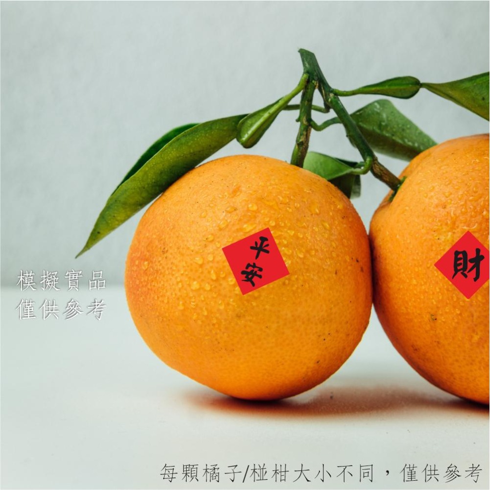 野財財⭐ 招財進寶小春聯貼 不是一般貼紙採用防水撕不破貼紙 2公分（20張/入）神明祝壽貼 封口貼 水果貼紙 結綠品貼紙-細節圖3