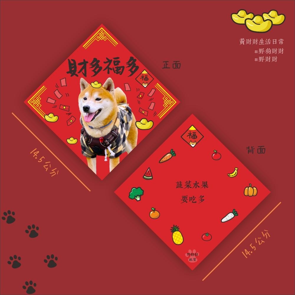 柴犬斗方春聯｜財多福多 柴犬財多多 喜慶裝飾佈置 寵物春聯 可愛柴犬 新年快樂 恭喜發財-細節圖2