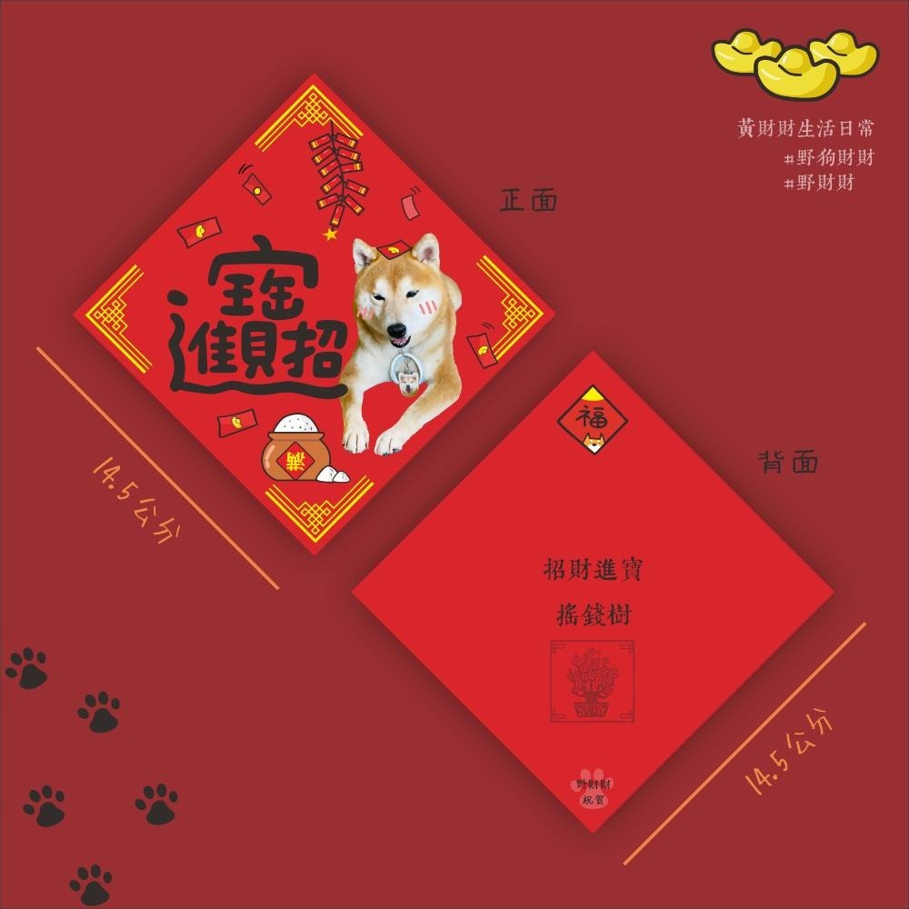 柴犬春聯｜招財進寶 滿春聯 喜慶裝飾佈置春聯 寵物春聯 可愛柴犬 斗方 方形春聯 新年快樂 恭喜發財 真犬-細節圖2