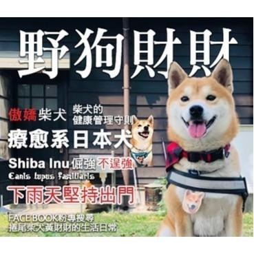 柴犬陶瓷吸水耐熱鍋墊｜吸濕、防滑，日常生活擺設，適用鍋墊、盤墊、茶壺墊、杯墊，保護桌面不受傷-細節圖6