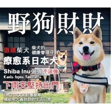 柴犬陶瓷吸水耐熱鍋墊｜吸濕、防滑，日常生活擺設，適用鍋墊、盤墊、茶壺墊、杯墊，保護桌面不受傷-細節圖6