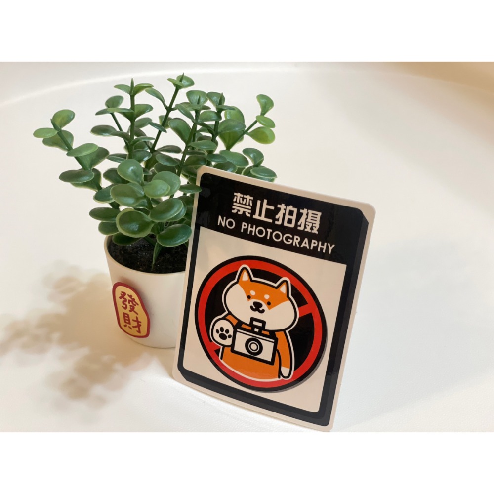 野財財⭐ 柴犬標語貼紙 防水無痕膠｜撕下貼紙不怕殘膠 防水貼紙 柴犬貼紙 搞笑柴犬貼紙 柴犬語錄 柴犬車貼 柴犬標示貼-規格圖3