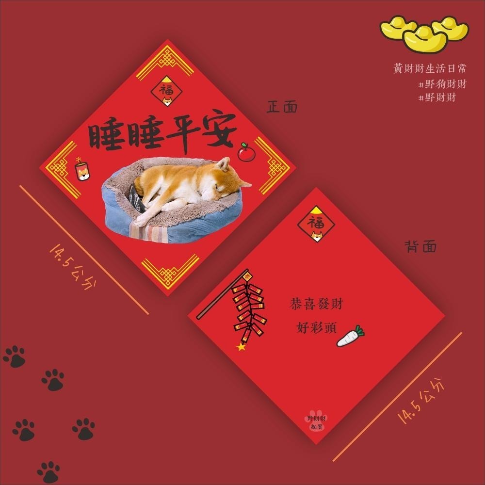 野財財⭐ 雙面都有圖案 柴犬春聯｜睡睡平安 春聯 負責守睡的可愛柴犬 14.5公分方形春聯 寵物春聯 歲歲平安 新年快樂-細節圖2