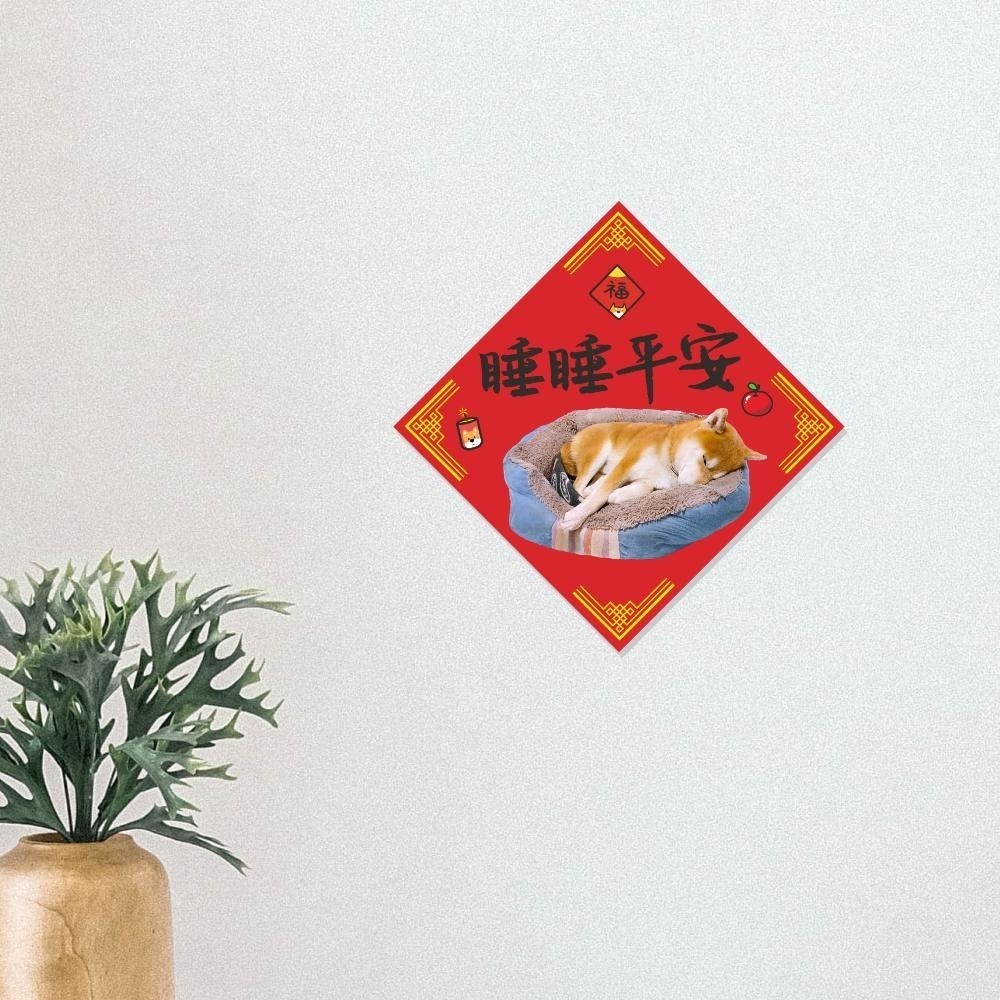 野財財⭐ 雙面都有圖案 柴犬春聯｜睡睡平安 春聯 負責守睡的可愛柴犬 14.5公分方形春聯 寵物春聯 歲歲平安 新年快樂-細節圖3