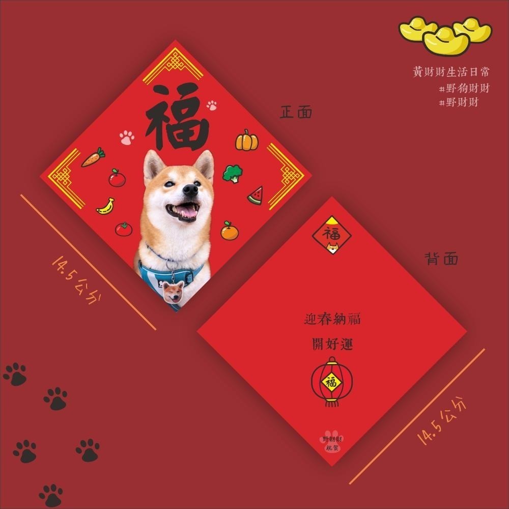 柴犬斗方春聯｜福字春聯 可愛柴犬有福 寵物春聯 真犬柴犬 野財財-細節圖2