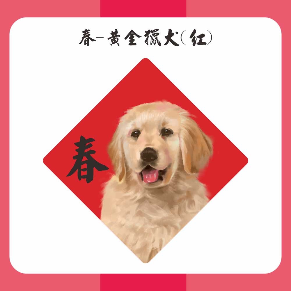 春-黃金獵犬(15張)