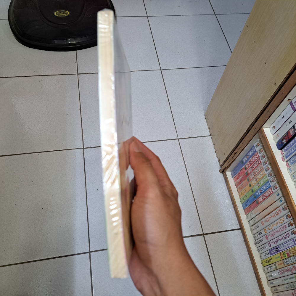 丁盼盼  少主縱情記  庫存書  115年08月06日鋪-細節圖2
