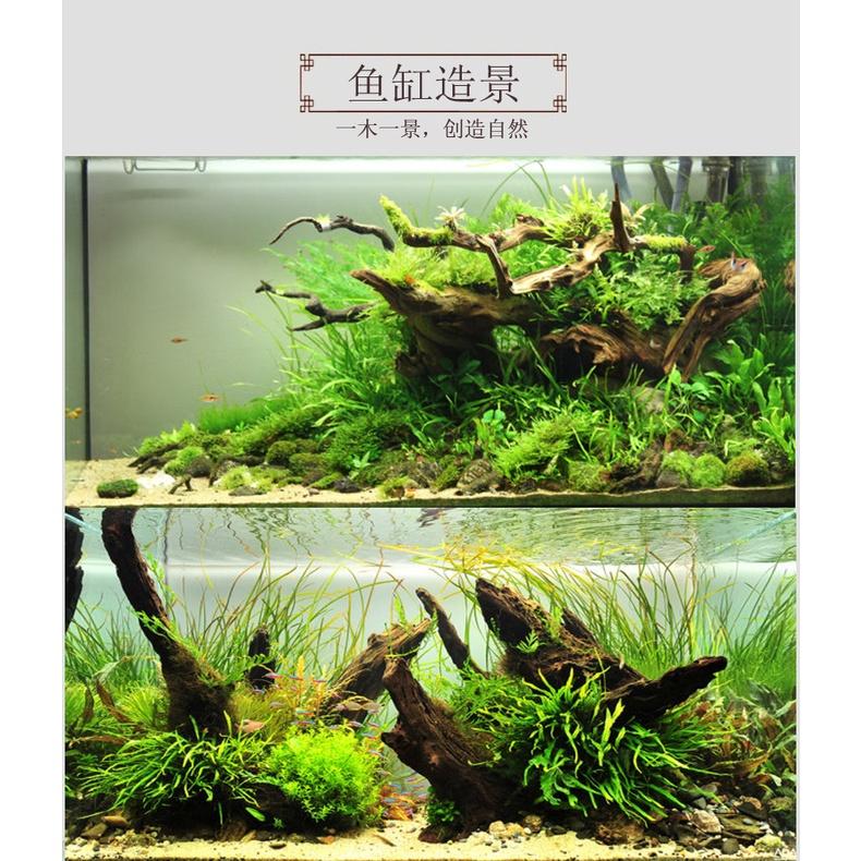 水族區-魚缸紫柚.黃金.煙燻.杜鹃根沉木造景-魚缸裝飾擺件曬台-水蝦龜魚南美水草造景-造景莫斯樹沉木此賣場為5-34cm-細節圖3