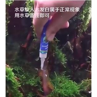 水族區-各式水族活餌-魚缸杜鹃根沉木造景-國象水族造景膠5g-骨架膠水-莫斯膠-水草膠-莫斯網片-接沉木珊瑚石頭透明水族-細節圖4