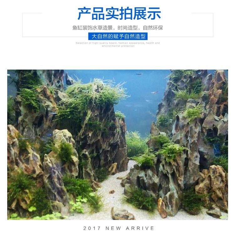 水族區-各式水族活餌零件設備-精品松皮石-水族造景石-盆景石-松皮石-缸造景-園林假山造景-3-19CM賣場-細節圖6