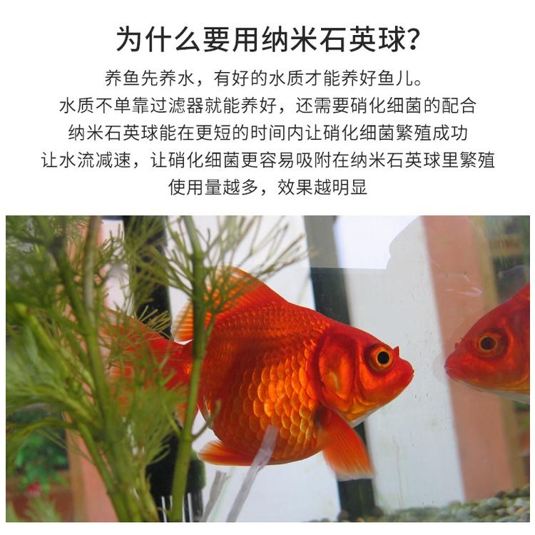 水族區-各式水族活餌零件設備-中空納米石英球-蝦魚缸過濾材料-細菌球納米環培養-硝化細菌清澈水質-細節圖2