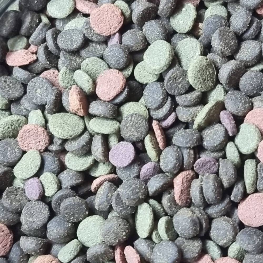 水族區-各式水族活餌零件設備-分售7合一底棲魚.慈鯛金魚.六角恐龍.異形-觀賞蝦螺.高蛋白.纖維能量.增豔複合式高級飼料-細節圖2