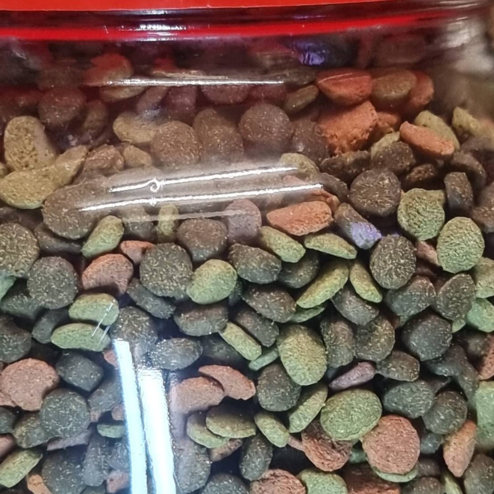 水族區-各式水族活餌零件設備-分售7合一底棲魚.慈鯛金魚.六角恐龍.異形-觀賞蝦螺.高蛋白.纖維能量.增豔複合式高級飼料-細節圖3