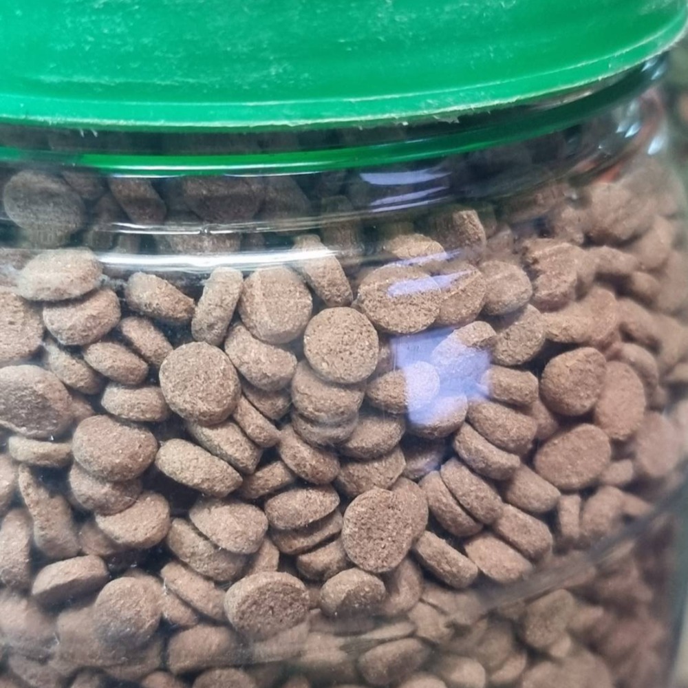 水族區-各式水族活餌零件設備-分售7合一底棲魚.慈鯛金魚.六角恐龍.異形-觀賞蝦螺.高蛋白.纖維能量.增豔複合式高級飼料-細節圖4